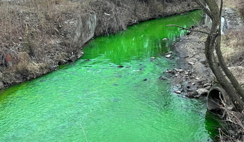 Michigan Creek Alarmingly Bright Green | Reynolds Water Solutions