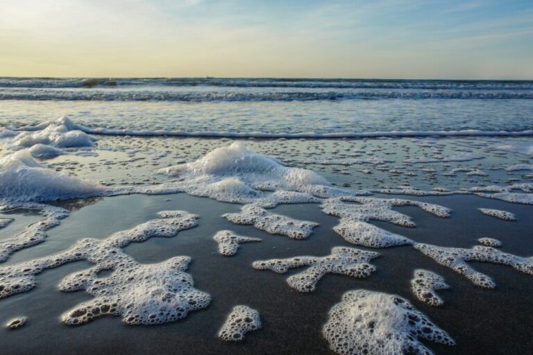 Michiganders Advised to Avoid Foam on Lakes and Rivers | Reynolds Water