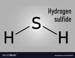 rotten egg smell in well water Farmington hHlls MI